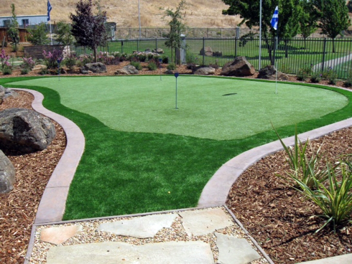 Synthetic Grass Cost Willows, California Diy Putting Green, Backyards