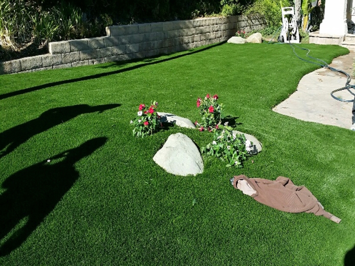 Synthetic Grass Denair, California Rooftop, Front Yard Ideas