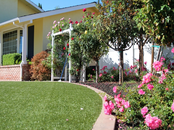 Synthetic Grass East Palo Alto, California Lawn And Garden, Front Yard Landscape Ideas