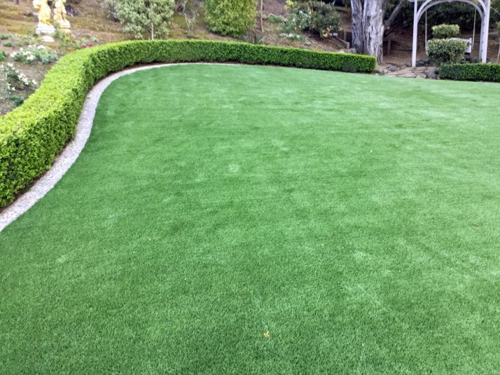 Synthetic Grass Fulton, California Landscaping Business, Beautiful Backyards