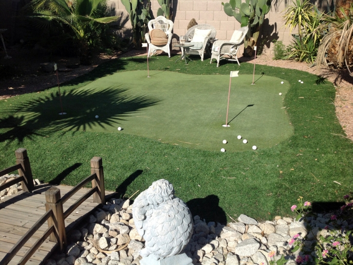 Synthetic Grass Groveland, California Indoor Putting Greens, Small Backyard Ideas