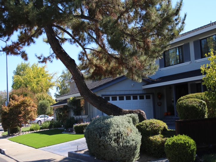 Synthetic Grass Lafayette, California Backyard Deck Ideas, Front Yard