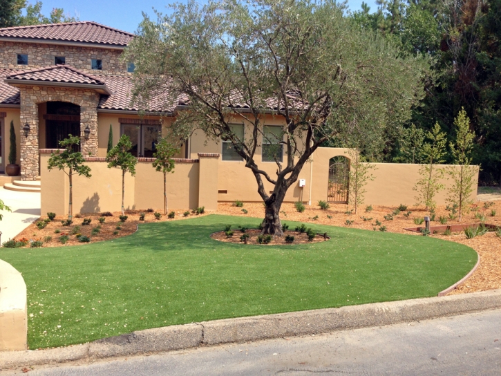 Synthetic Grass Loma Rica, California Landscape Ideas, Front Yard Landscape Ideas