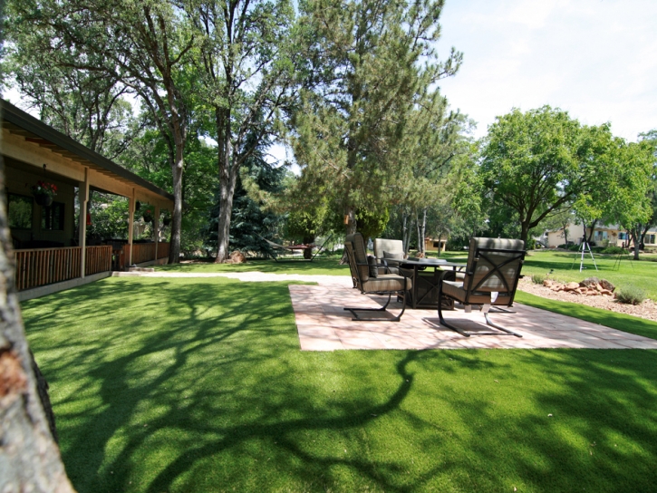 Synthetic Grass North Auburn, California Backyard Playground, Backyard Landscaping Ideas