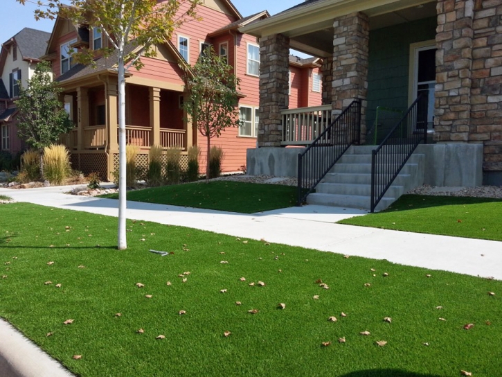 Synthetic Grass Orangevale, California Lawn And Garden, Front Yard Ideas