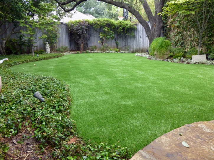 Synthetic Grass Valley Home, California Landscaping, Backyard Landscaping Ideas