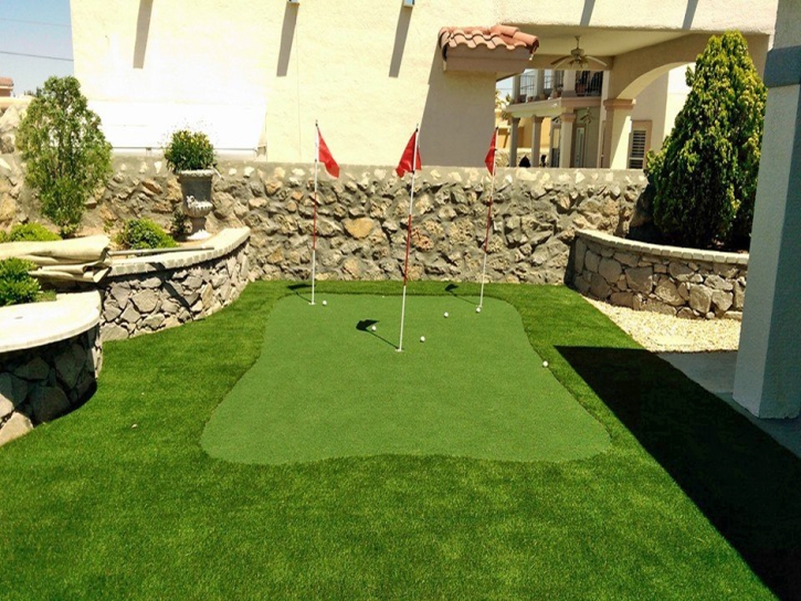 Synthetic Grass Windsor, California Artificial Putting Greens, Backyard Ideas