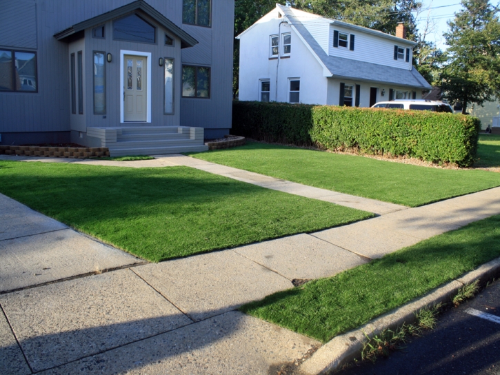 Synthetic Lawn Ashland, California Landscape Photos, Front Yard Landscape Ideas