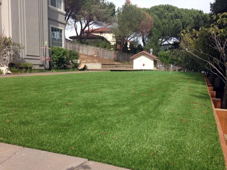 Synthetic Lawn Atherton, California Design Ideas, Backyard Designs