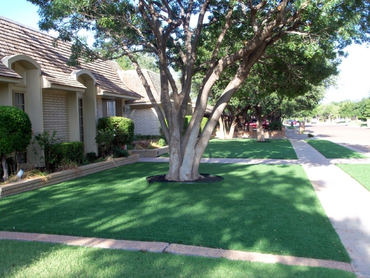 Synthetic Lawn El Sobrante, California Landscaping, Front Yard Landscaping