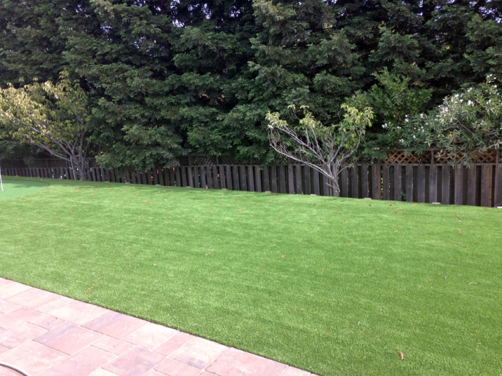 Synthetic Lawn Hilmar-Irwin, California Paver Patio, Small Backyard Ideas