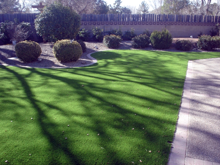 Synthetic Lawn Maxwell, California Gardeners, Front Yard Landscaping