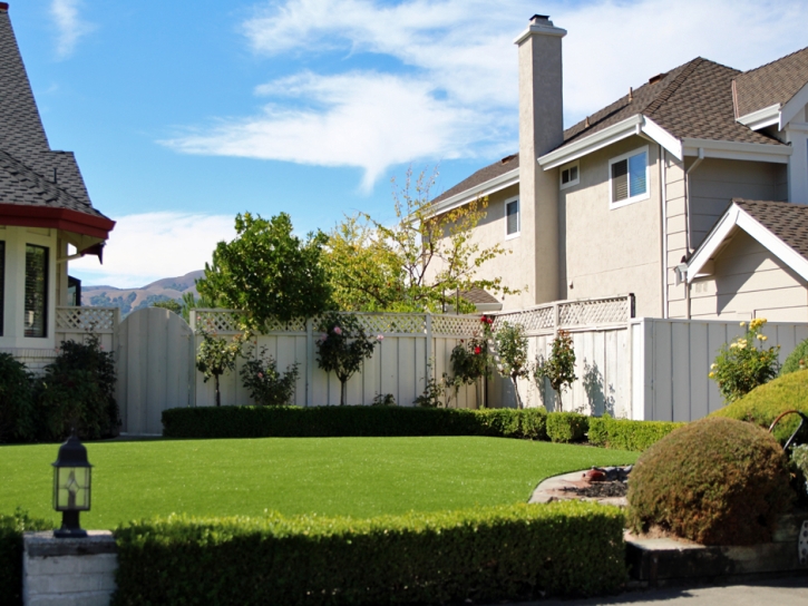 Synthetic Lawn Pacifica, California Landscape Design, Front Yard Design