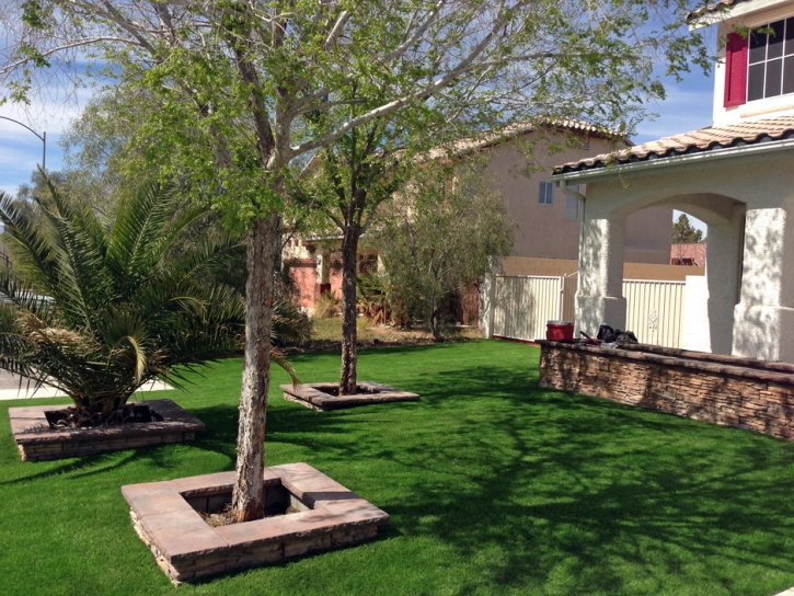 Synthetic Lawn Pike, California Design Ideas, Front Yard Landscaping Ideas