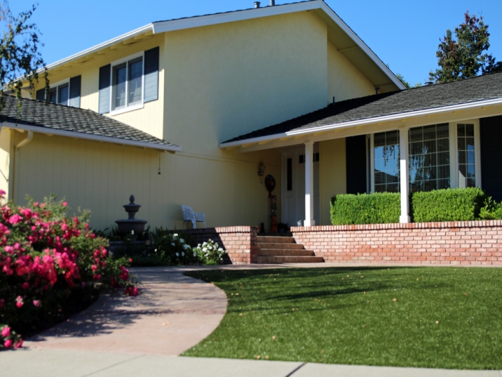 Synthetic Lawn San Carlos, California Garden Ideas, Front Yard Design