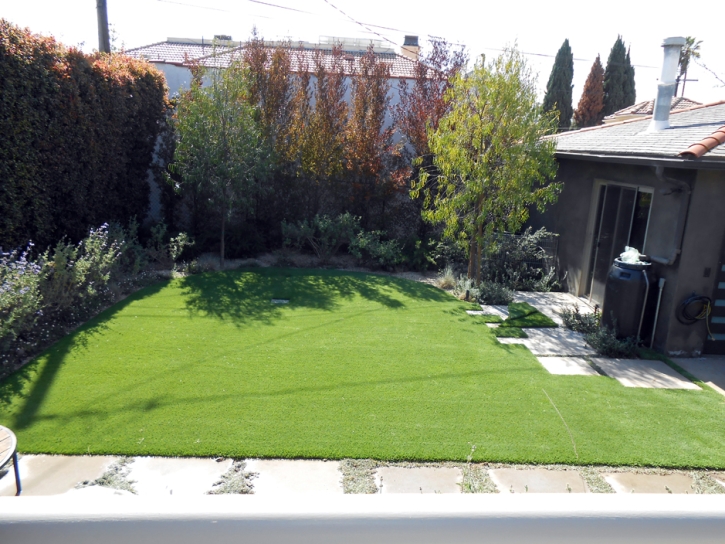 Synthetic Lawn Union City, California Landscape Rock, Backyards