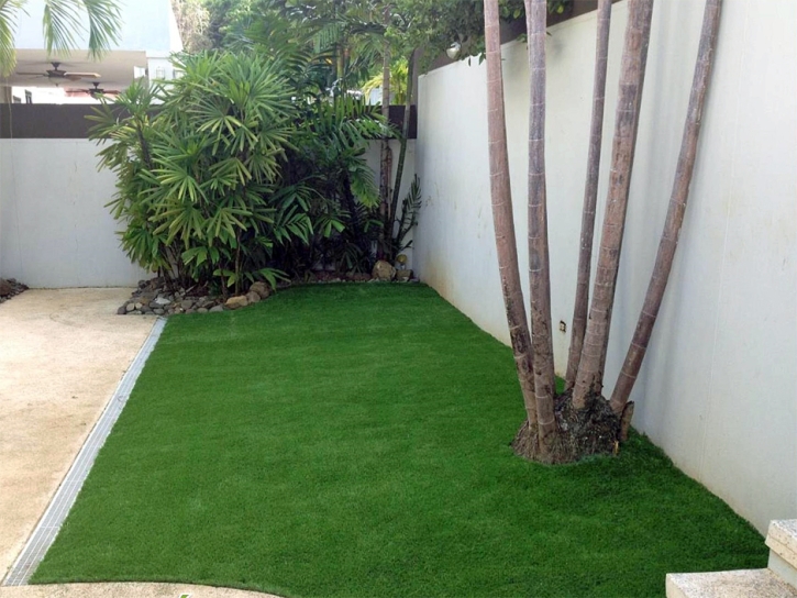 Synthetic Turf Bodega Bay, California Home And Garden, Backyard Makeover