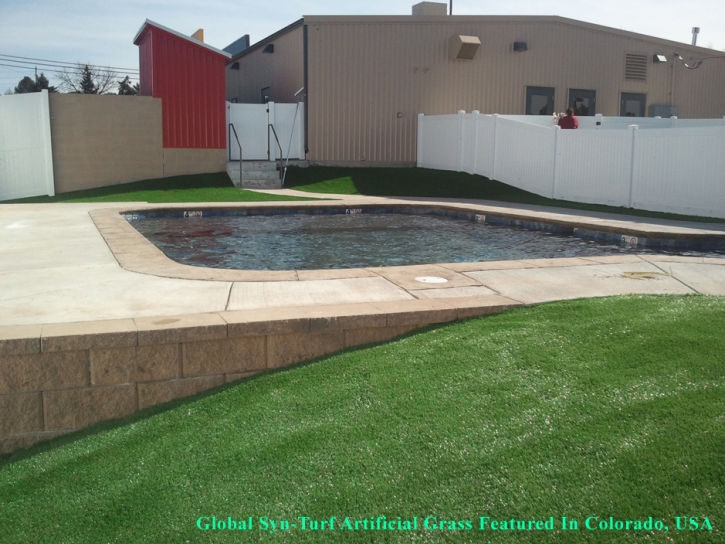 Synthetic Turf Davis, California Gardeners, Above Ground Swimming Pool