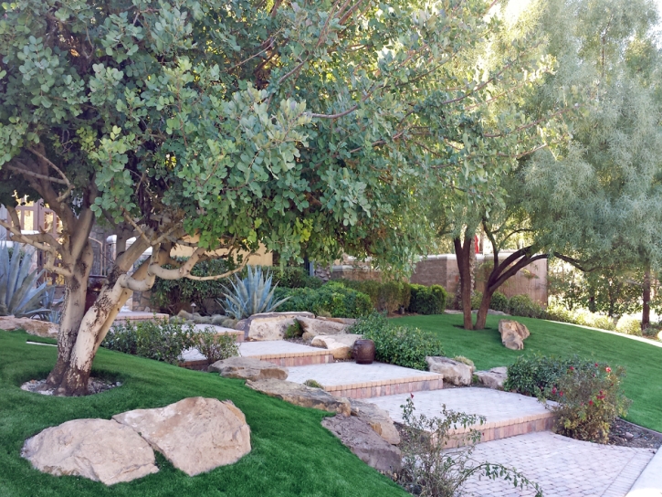 Synthetic Turf Forest Meadows, California Home And Garden, Backyard Design