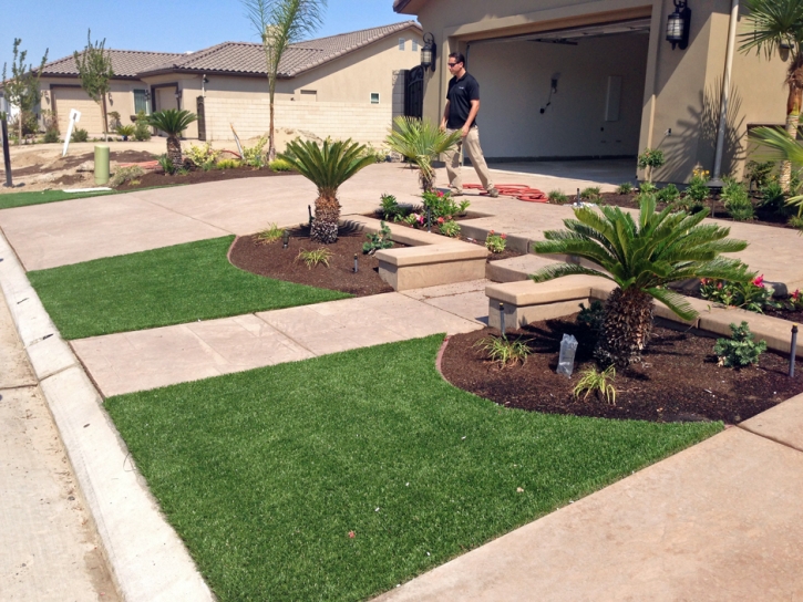 Synthetic Turf Kennedy, California Landscaping, Front Yard Landscaping Ideas