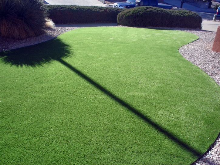 Synthetic Turf Montalvin, California Landscape Ideas, Front Yard Landscape Ideas