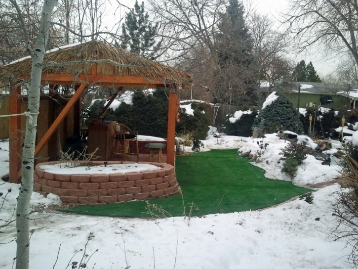 Synthetic Turf Rohnert Park, California Landscaping, Snow