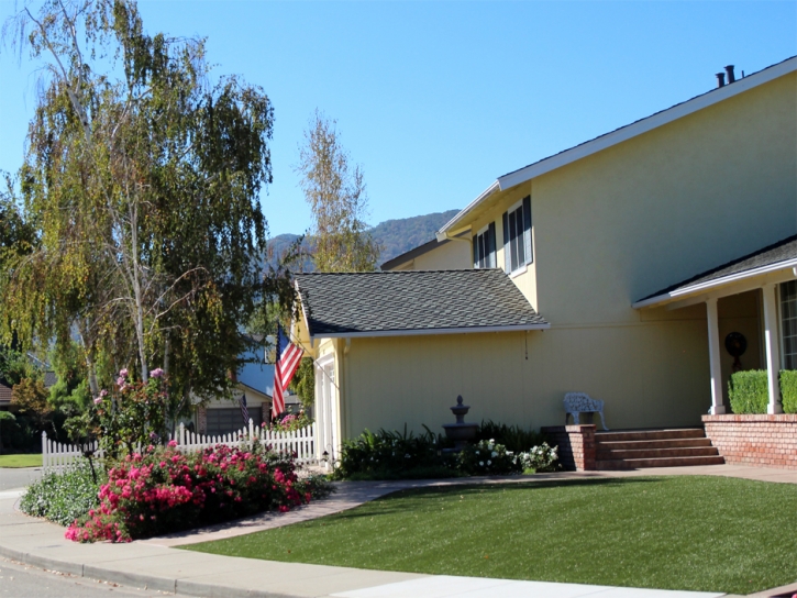 Synthetic Turf San Mateo, California Landscape Ideas, Front Yard Design