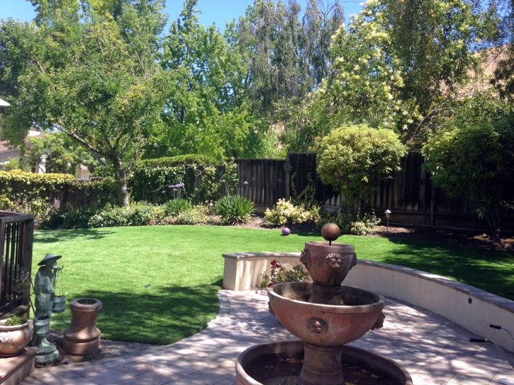 Synthetic Turf Supplier Buena Vista, California Backyard Deck Ideas, Backyard Makeover