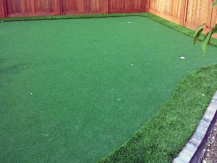 Synthetic Turf Supplier Fiddletown, California City Landscape, Backyard Design