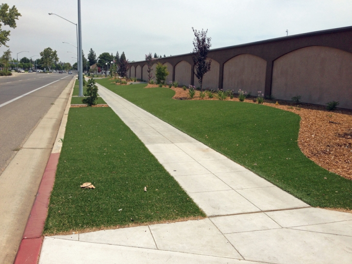 Synthetic Turf Supplier Gridley, California Design Ideas, Commercial Landscape