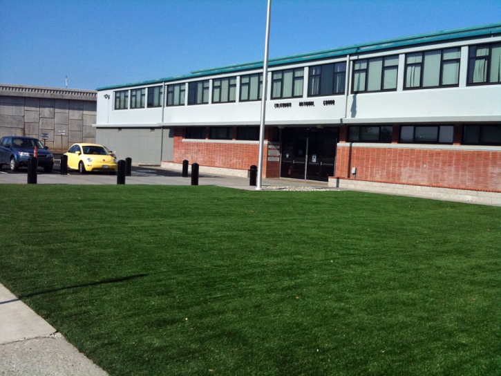 Synthetic Turf Supplier Isleton, California Roof Top, Commercial Landscape