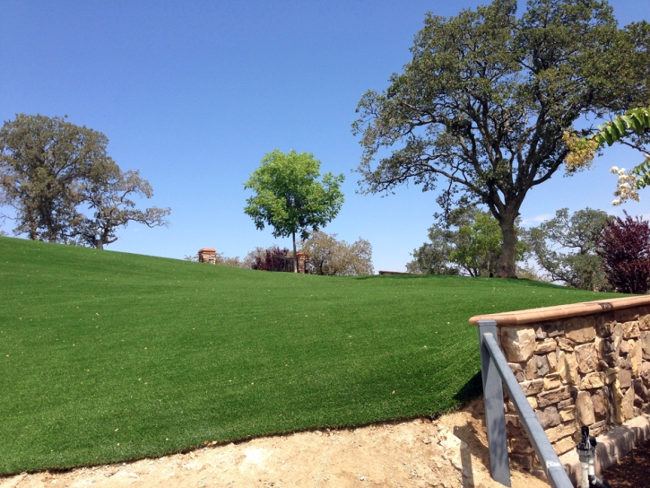 Synthetic Turf Supplier Pacheco, California Backyard Deck Ideas, Front Yard Landscape Ideas