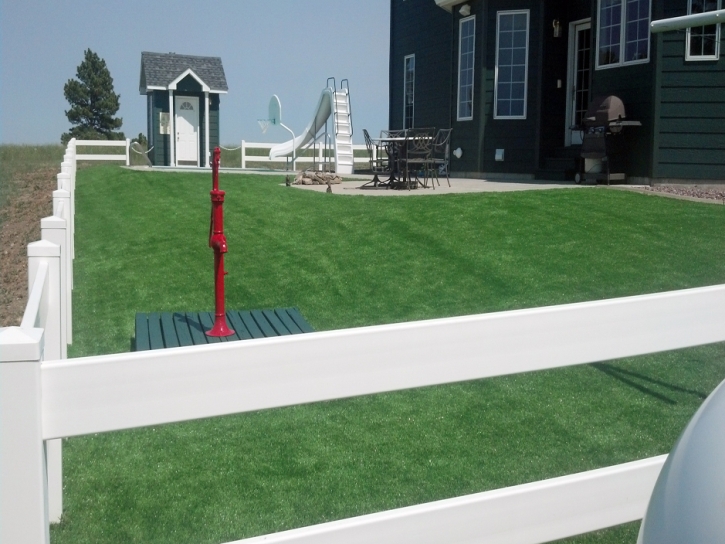 Synthetic Turf Supplier San Rafael, California Landscape Ideas, Landscaping Ideas For Front Yard