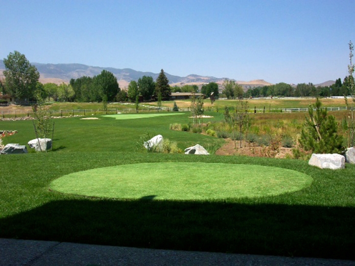 Synthetic Turf Supplier Twain Harte, California Indoor Putting Greens, Backyard Design