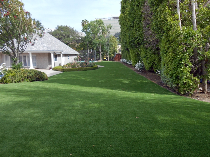 Synthetic Turf Woodacre, California City Landscape, Front Yard Landscaping Ideas