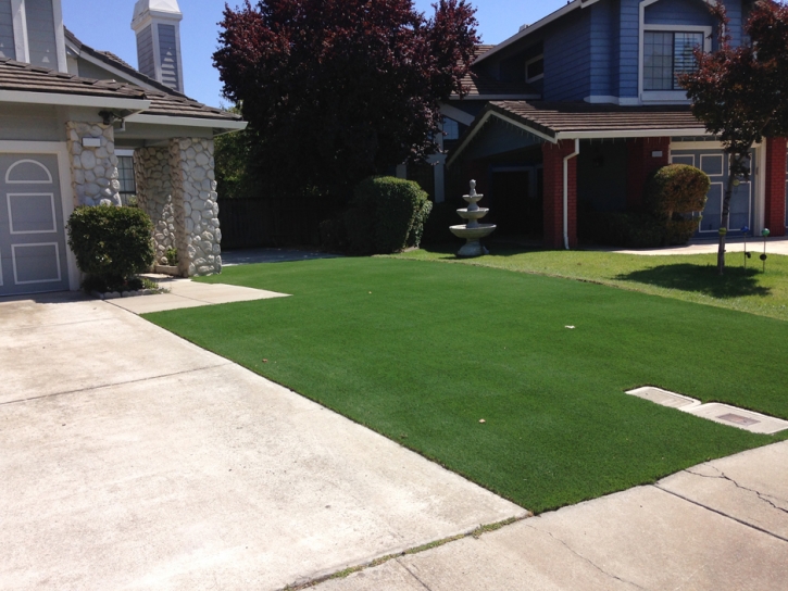 Turf Grass Angwin, California Rooftop, Front Yard Ideas