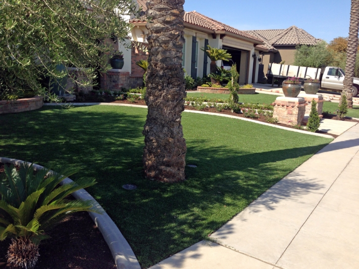 Turf Grass August, California Rooftop, Front Yard Landscape Ideas