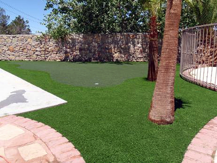 Turf Grass Bolinas, California Paver Patio, Backyard Landscaping