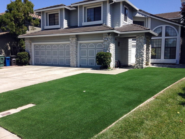 Turf Grass Oakville, California Gardeners, Front Yard Landscape Ideas